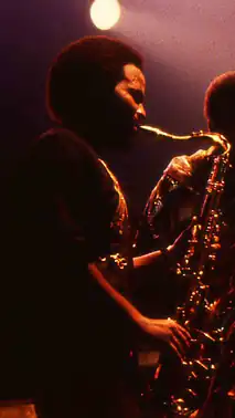 Earth Wind and Fire (Andrew Woolfolk).jpg