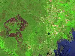 This image shows a large area burned by a forest fire, which appears as dark pink ring-shaped patch at the left side of the image