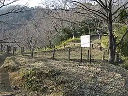 Egenoyama Site