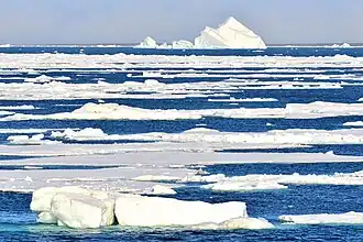 Northeast coast of Bolshevik Island: iceberg road (79°28‘N, 103°E)