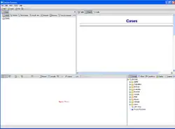 Blank EnCase project file
