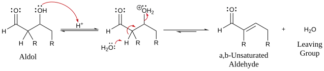 Mechanism for acid-catalyzed dehydration of an aldol