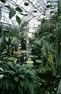 Botanical Garden and Glass House, Joensuu University, A+P 1985