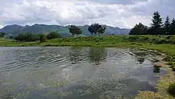 Looks like this Site of Community Interest has an image. Don't worry, you can take one of your own, and upload it too!