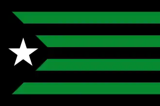 Starry with colors of Club Joventut de Badalona