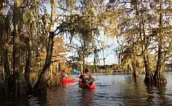 Kayakers in the Big Thicket National Preserve