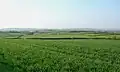 Farmland east of Tythegston, within the enclosure
