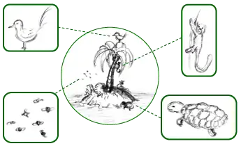 Image 17Simplified schematic of an island's fauna – all its animal species, highlighted in boxes (from Fauna)