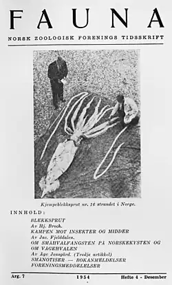 #136 (2/10/1954), The specimen was featured on the cover of the December 1954 issue of the Norwegian Zoological Society's quarterly journal, Fauna: Norsk Zoologisk Forenings Tidsskrift