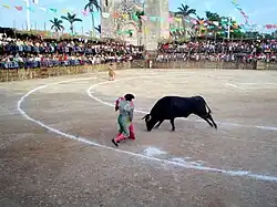 Bullfights