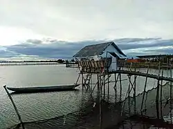Wooden poles connected by nets isolating part of the sea