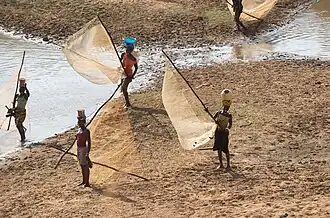 Image 2Malinke fisher women on the Niger River, Niandankoro, Kankan Region, in eastern Guinea (from Guinea)