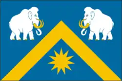 Flag of Abatskoye