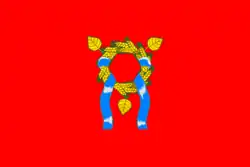 Flag of Alexandrovsky District