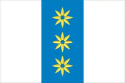 Flag of Berdyuzhsky District