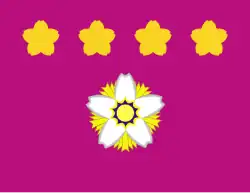 Flag of the Chief of Staff, Joint Staff