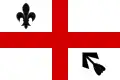 Flag of Droužetice