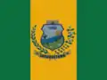 Flag of Jaguaretama