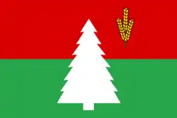 Flag of Luzsky District