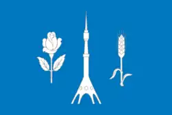 Flag of North-Eastern Administrative Okrug