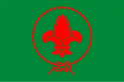 Vietnamese Scout Association (1930–now)