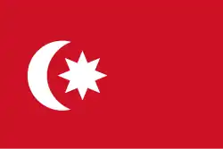 A depiction of an eight-starred flag