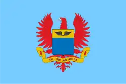 Flag of the Colombian Aerospace Force