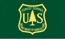 Flag of the Forest Service