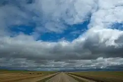 Open prairie near Lewvan