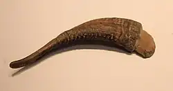 Flint end scraper with horn handle for working wood or leather, Late Stone Age, Hayonim Cave, 50000-22000 BP