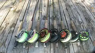 A variety of different brands and sizes of fly rods.