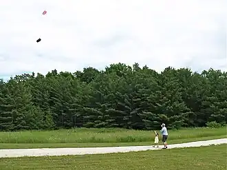 Flying kites