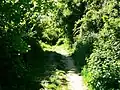 Footpath on Chosen Hill to north-west