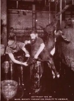 For the Sake of a Veal Cutlet, published by Rowley in 1914