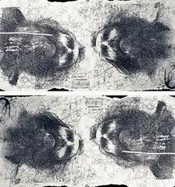 Four-fold self-portraits of Fink