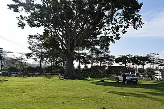 Freedom site where Ignatious Musaazi held independence struggle meetings