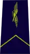 Élève officier du personnel navigant (EOPN), (navigation officer cadet)