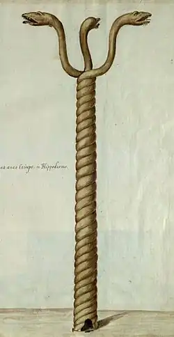 Drawing of a spiral column with three serpent heads on top