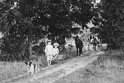 Blue Cattle Dog walking down a driveway ahead of two boys with a toy wagon, and a man and a woman in a horse-drawn cart, 1902