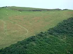 Iron Age defended settlement, Furzebury Brake