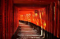 Senbon torii at Fushimi Inari-taisha