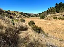 A valley covered in golden grasses and dotted by small bushes