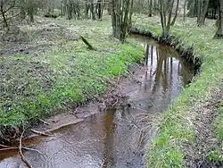 The Geeste near its source