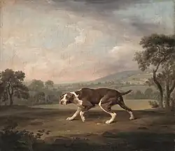 The Pointer (ca. 1766), oil on canvas, 61 x 70 cm., Neue Pinakothek