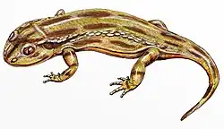 Georgenthalia clavinasica