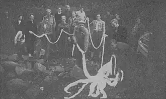 #119 (11/9/1946) Giant squid that washed ashore in Romsdalsfjord, Romsdal, Norway, on 11 September 1946. It measured 9.35 m (30.7 ft) in total length and was described as being quite fresh and well-preserved.[112]