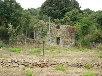 The U Troghju Comunu, which is the ancestor of the wine cooperatives, in Giuncheto