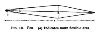 #111 (12/11/1935), Gladius (internal shell remnant), with more flexible area indicated (Frost, 1936:94, fig. 10)