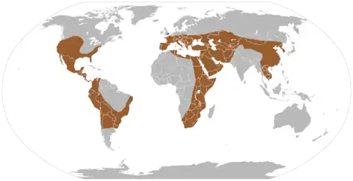 Global distribution Gomphotheriidae