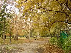 Park in autumn 1